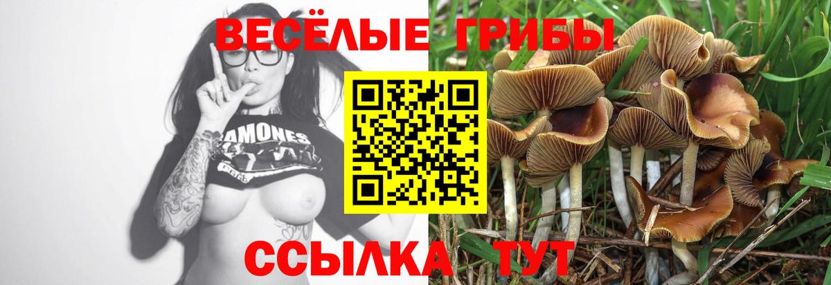 Галлюциногенные грибы ЛСД  Вход с VPN  Каспийск 